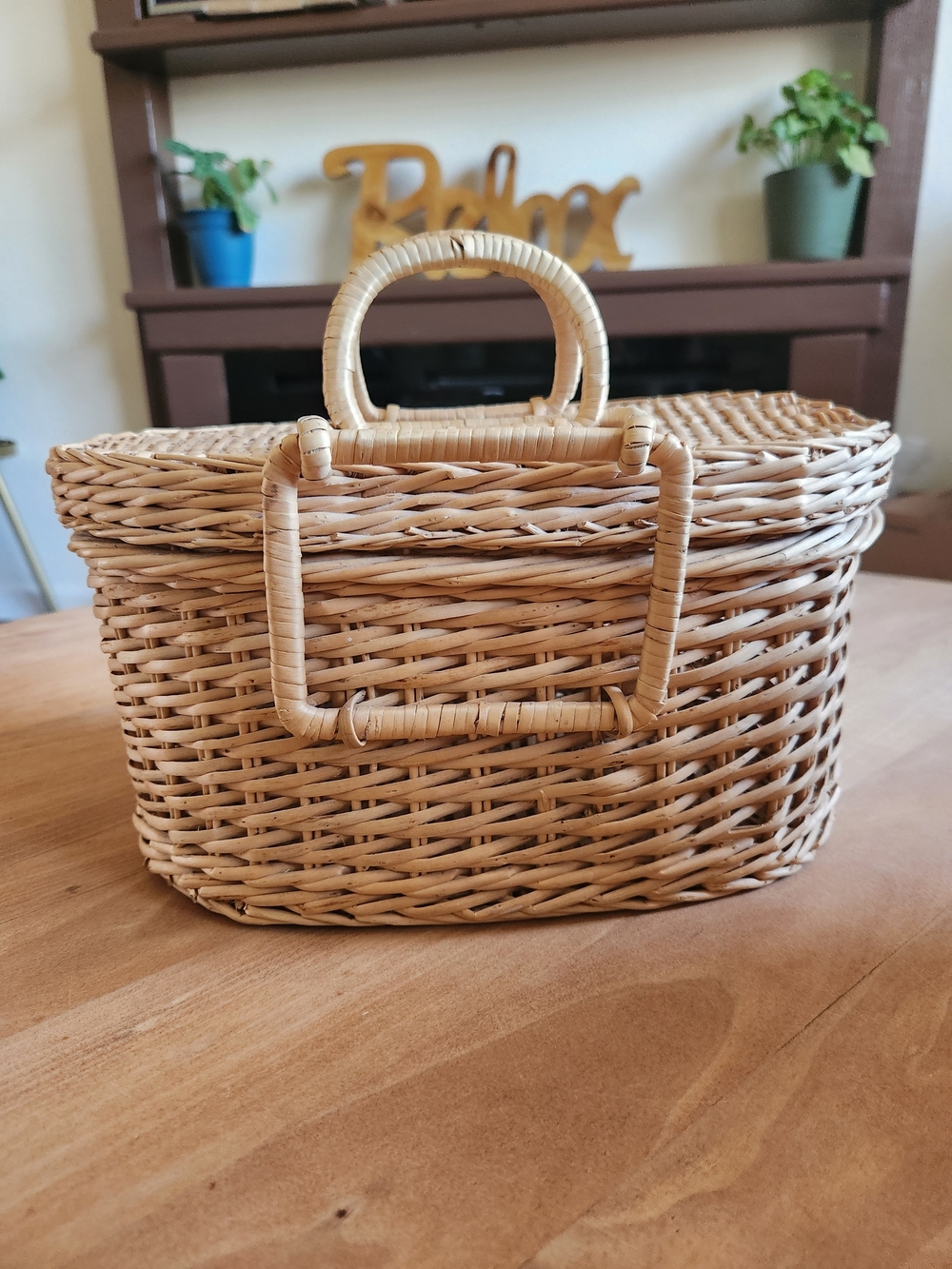 Vintage Oval Wicker Picnic Basket with Lid & Handle | Boho Cottagecore Decor